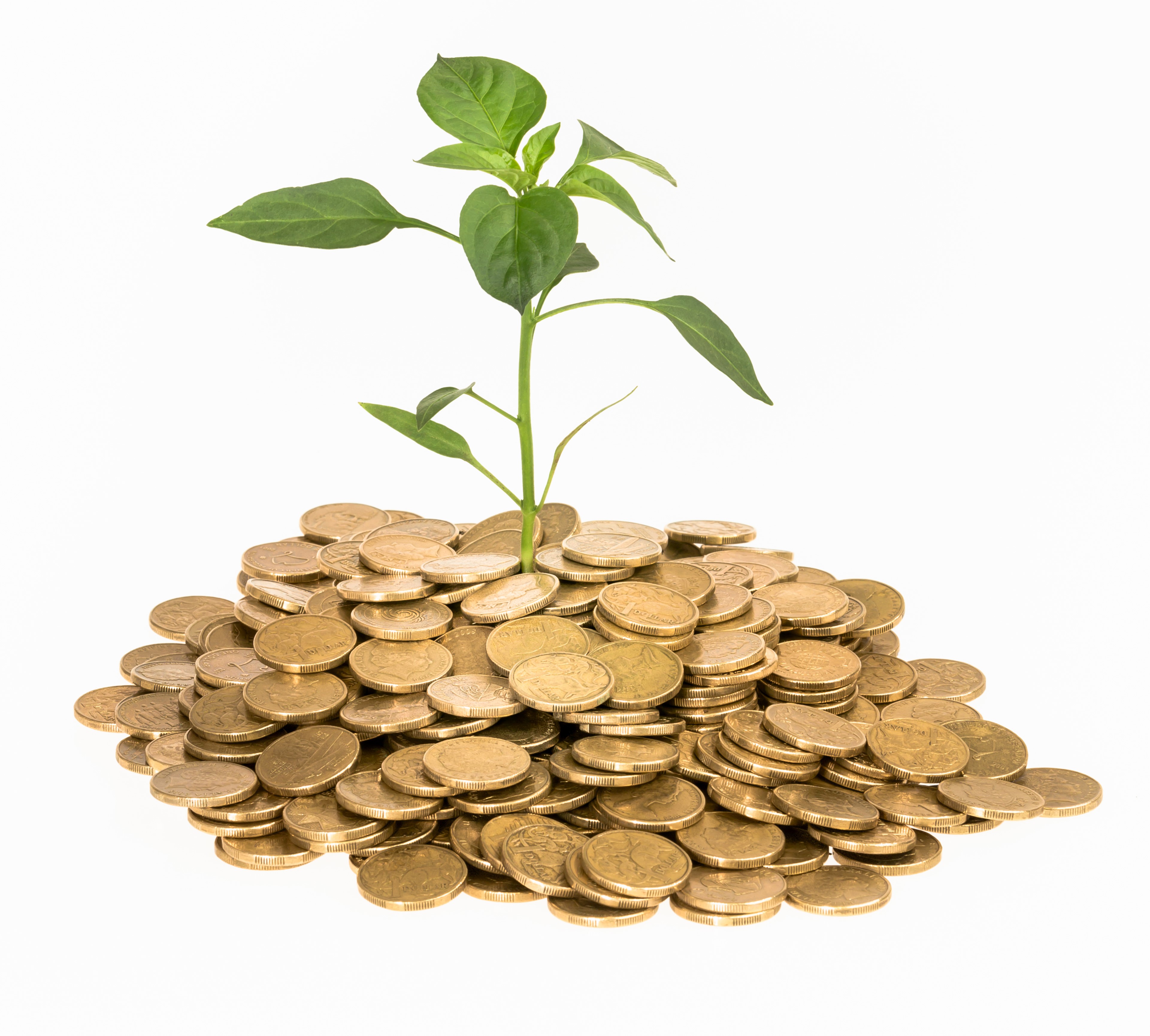 Coins Growing